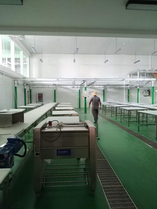 凱斯樂屠宰設備與肉類深加工設備成功落戶云南某廠，全面進入安裝調試階段